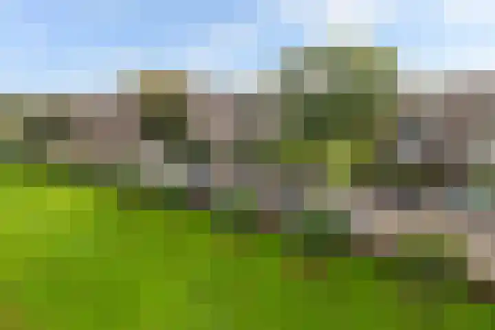 Bredenoord 242 Rotterdam thumbnail 17