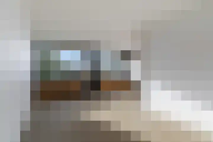 Bredenoord 242 Rotterdam thumbnail 7