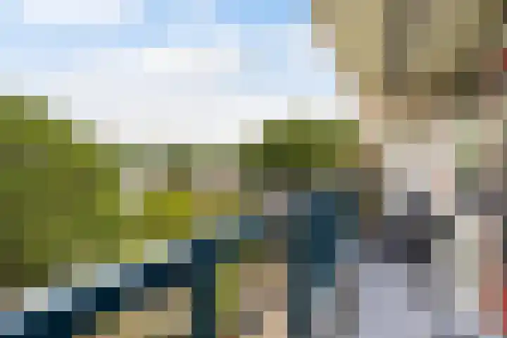 Bredenoord 266 Rotterdam thumbnail 13