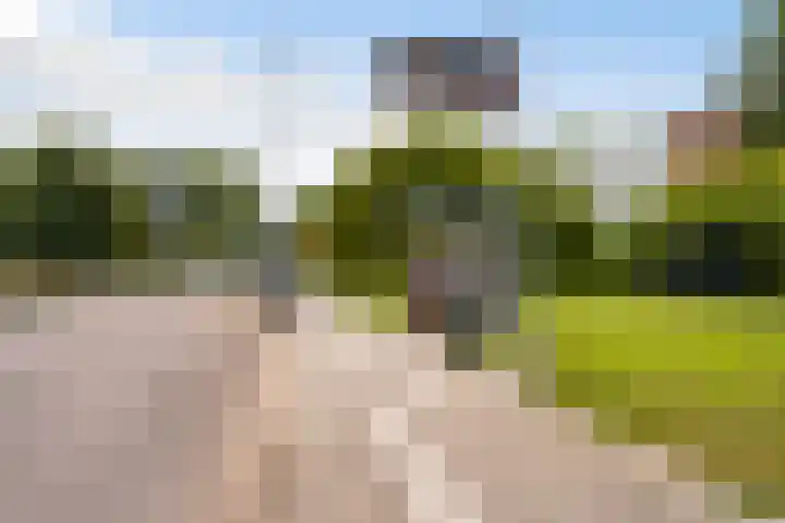 Bredenoord 266 Rotterdam thumbnail 20