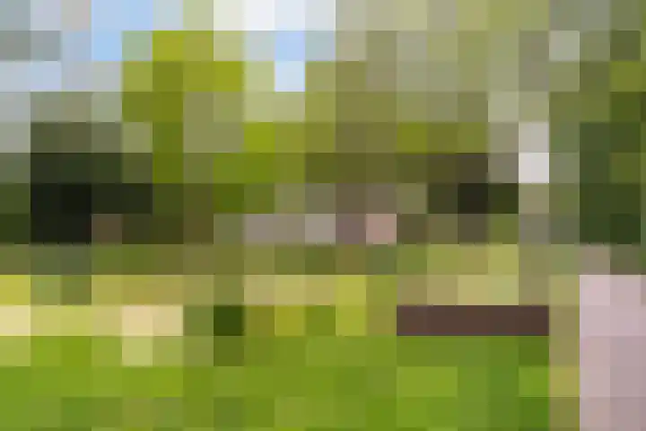Bredenoord 266 Rotterdam thumbnail 21