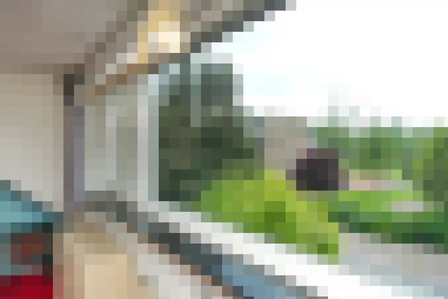 Bredenoord 46 Rotterdam thumbnail 21
