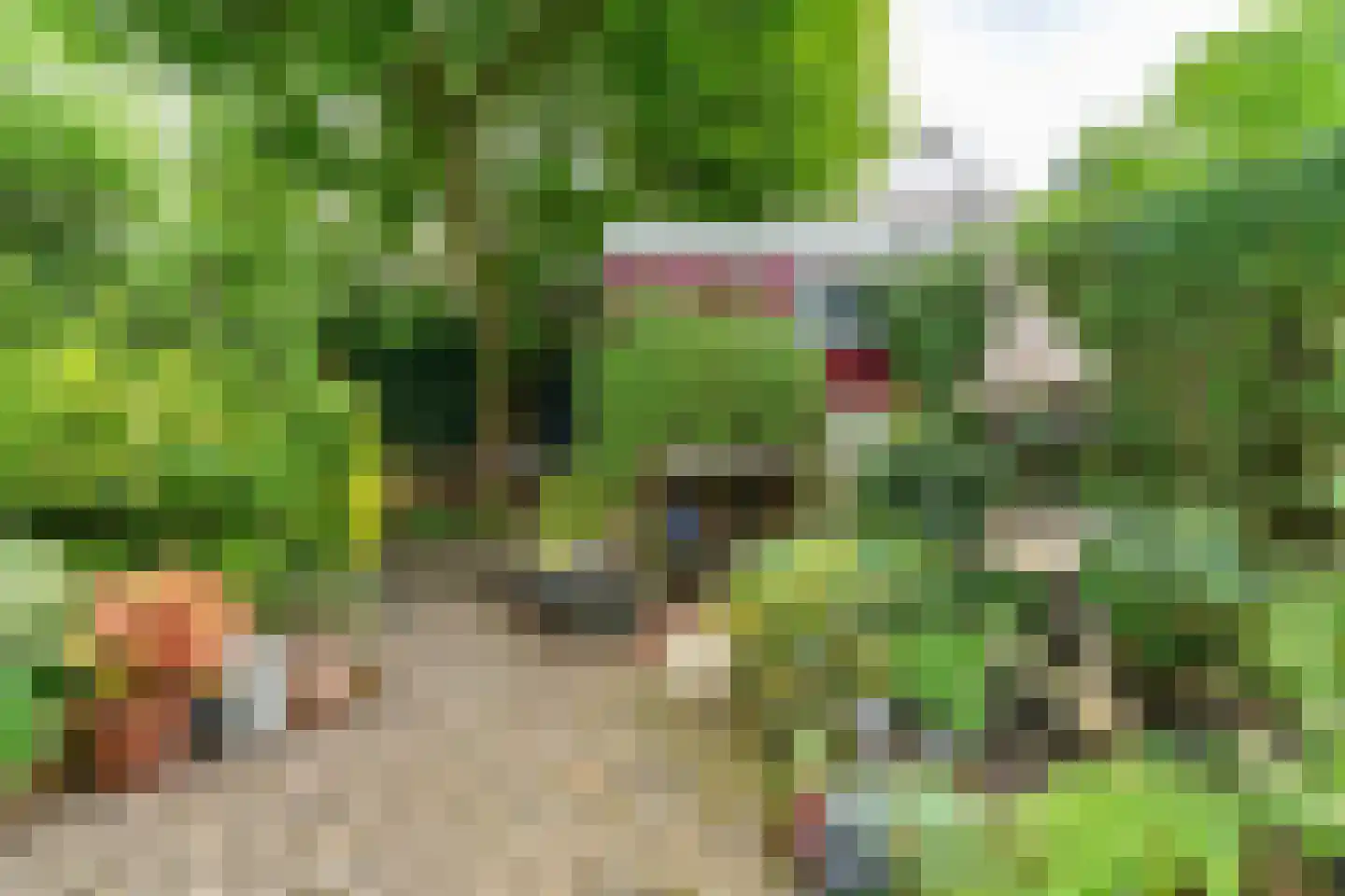 Bredenoord 46 Rotterdam thumbnail 22