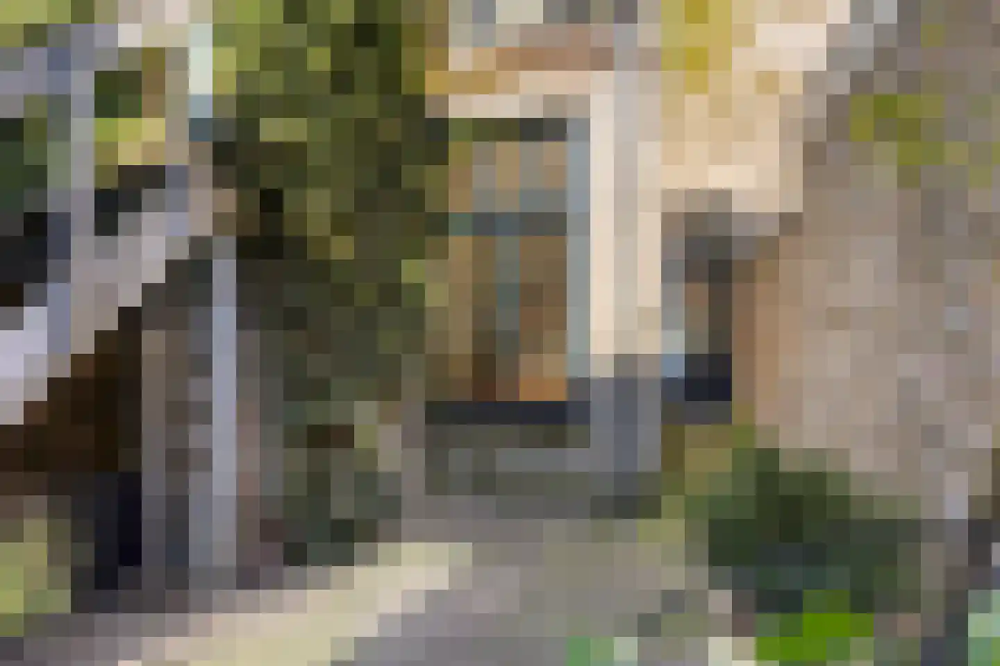 Bredeplaats 1 Leeuwarden thumbnail 61