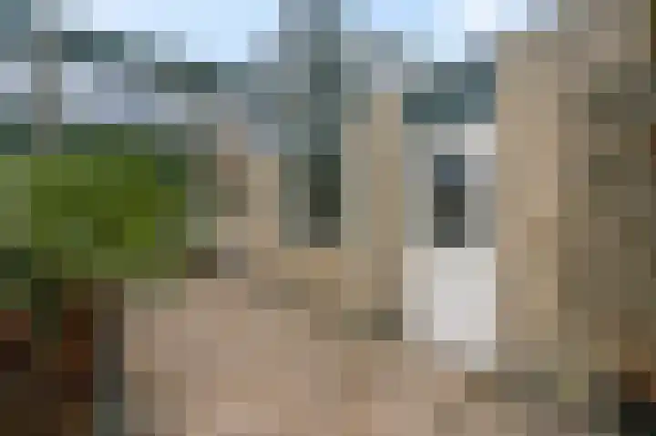Brederhorst 32 Ede thumbnail 27