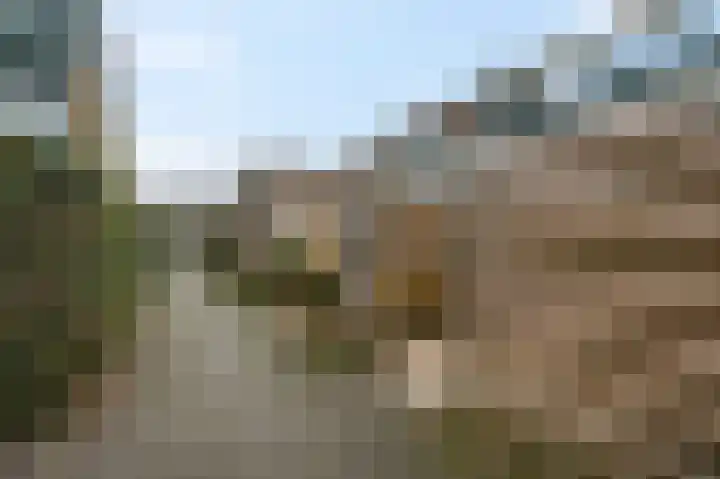 Brederhorst 32 Ede thumbnail 33