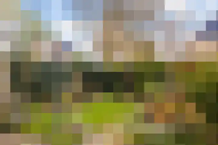 Brederhorst 36 Ede thumbnail 31