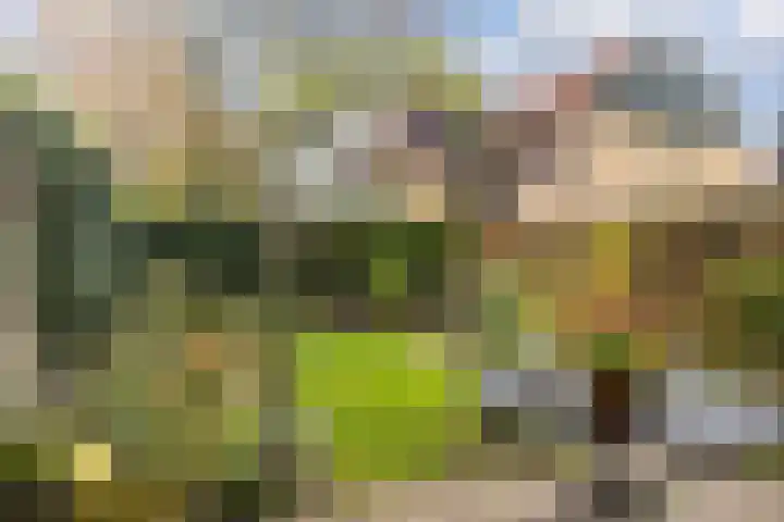 Brederhorst 36 Ede thumbnail 32