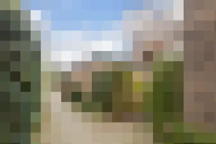 Brederhorst 36 Ede thumbnail 33