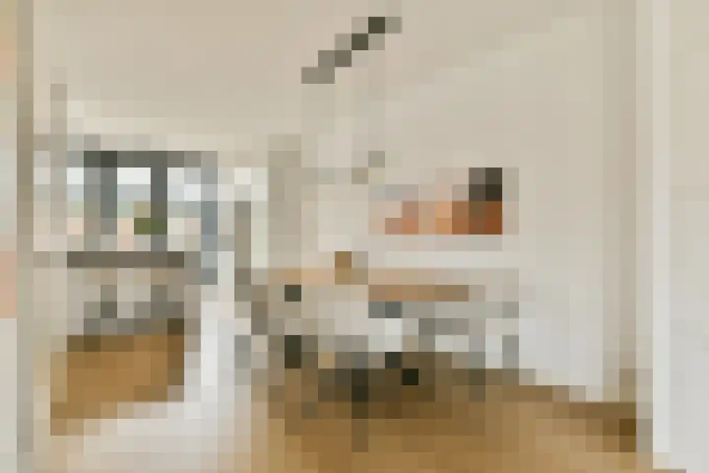Brederode 1 Amstelveen thumbnail 8