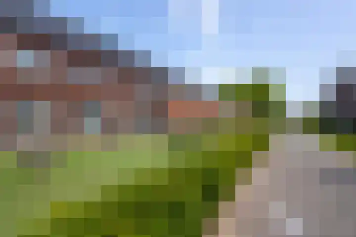 Brederode 10 Hardinxveld-Giessendam thumbnail 33