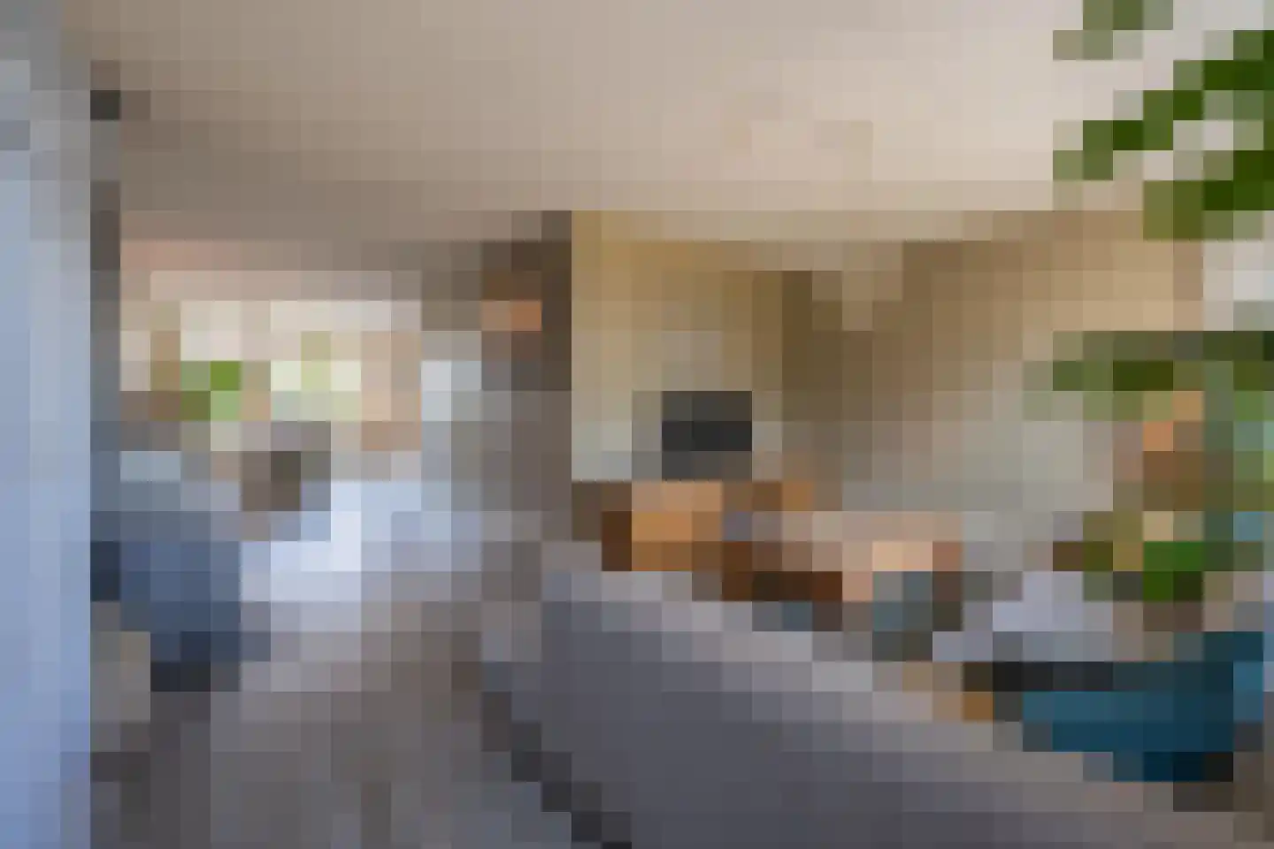 Brederode 11 Buren thumbnail 25