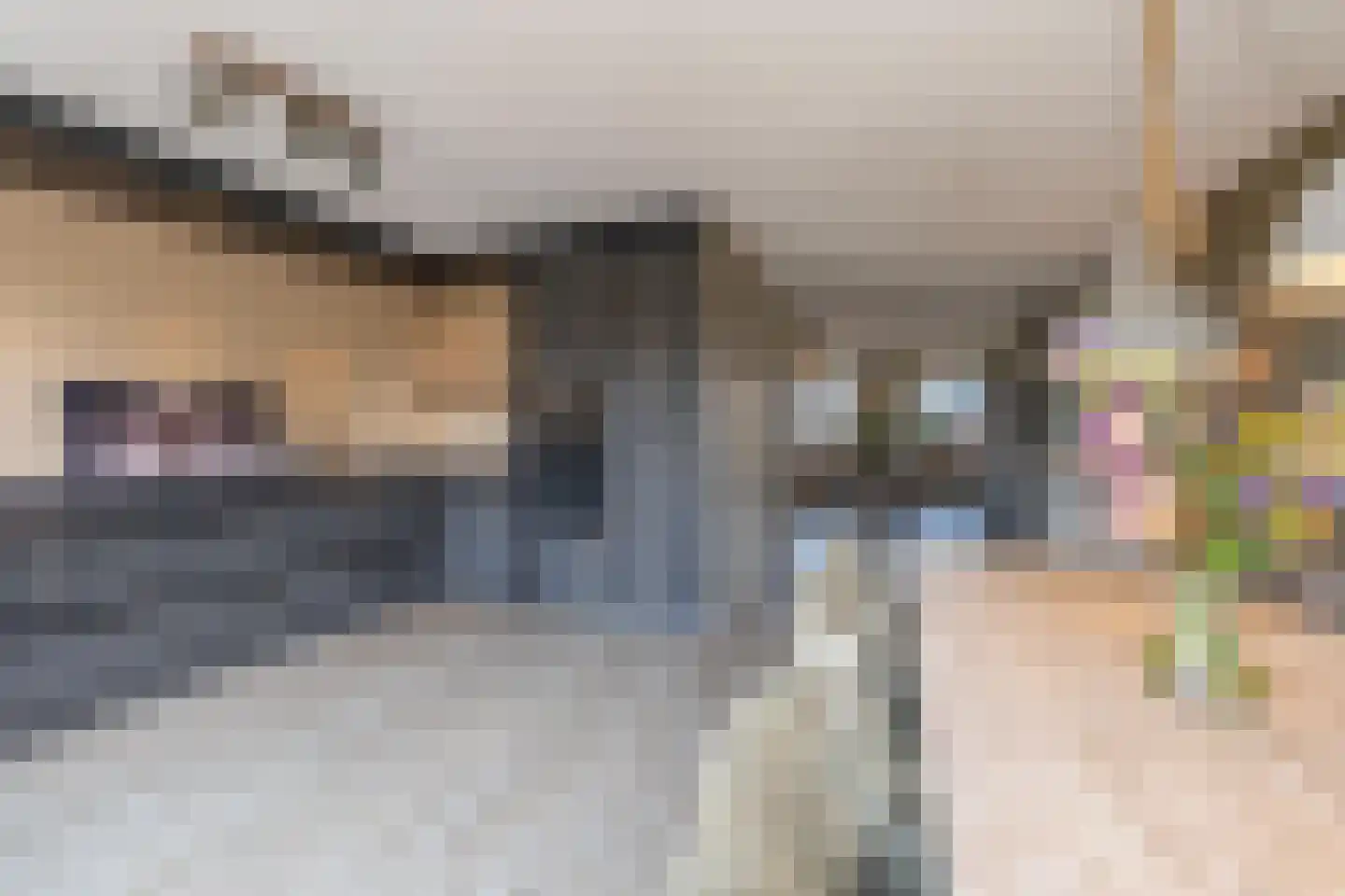Brederode 11 Buren thumbnail 31