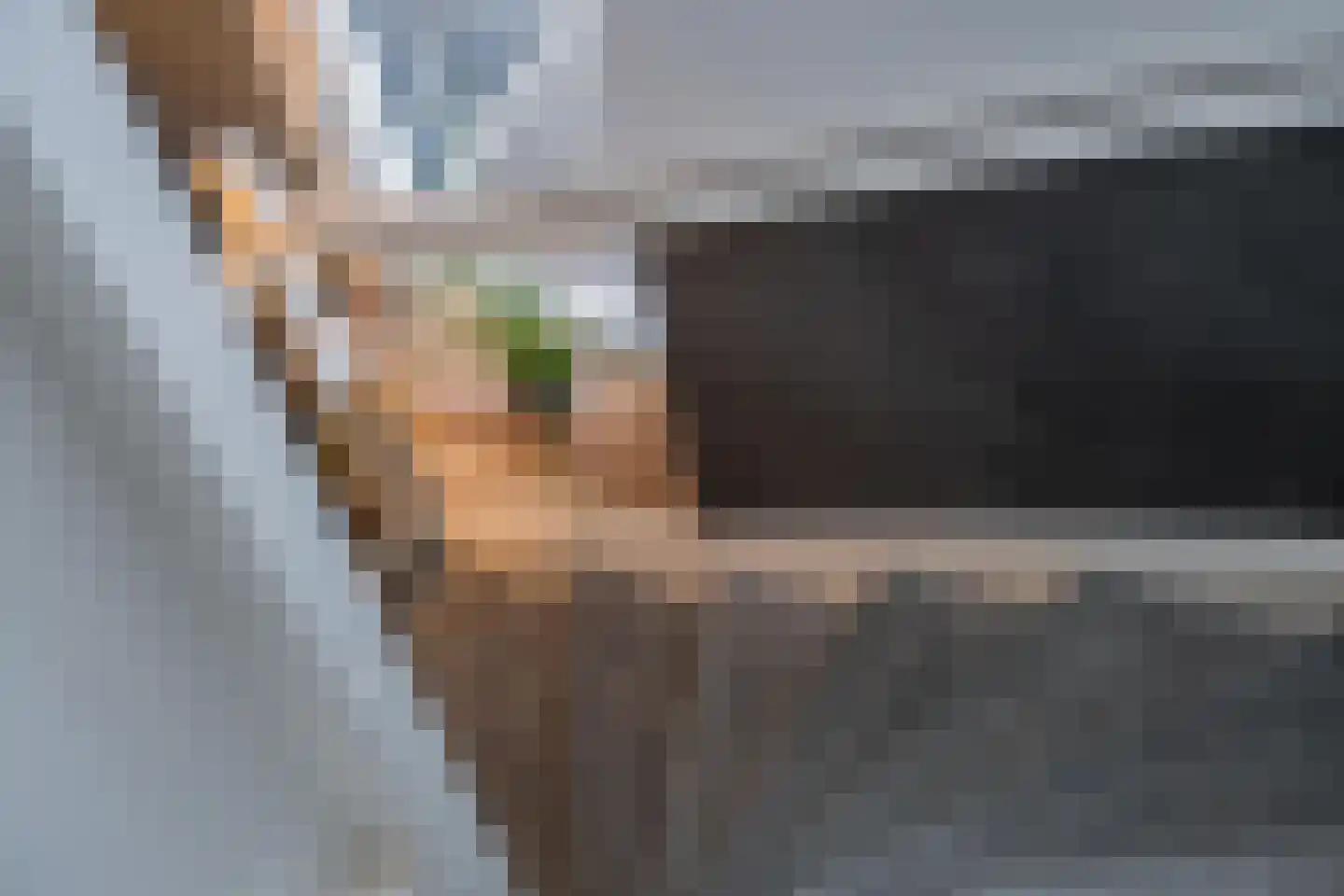 Brederode 11 Buren thumbnail 44