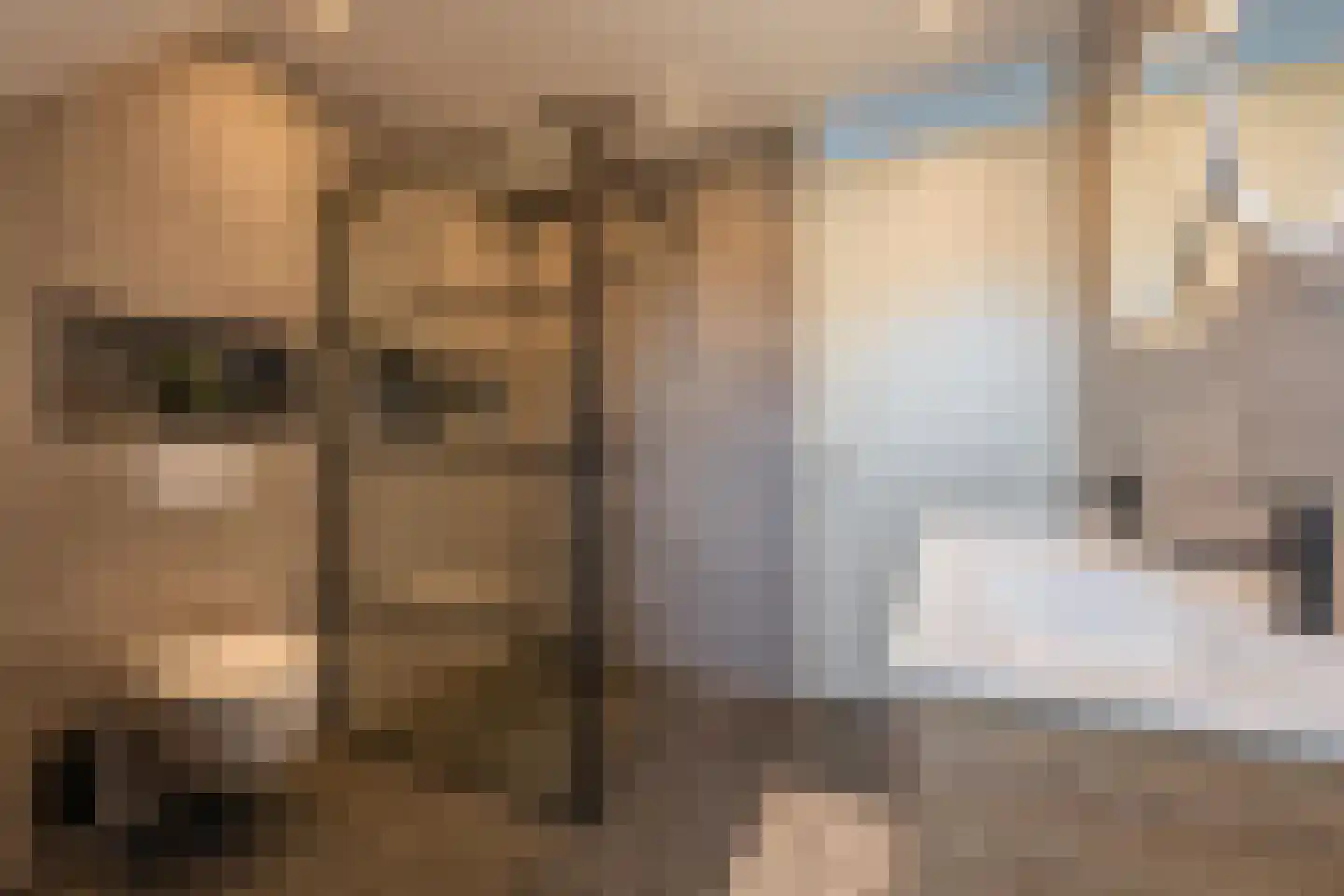 Brederode 11 Buren thumbnail 47