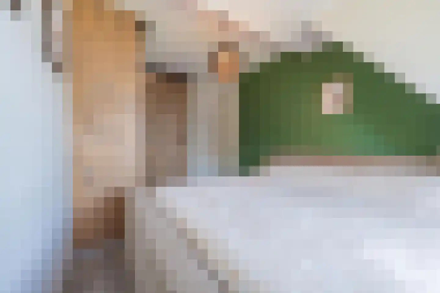 Brederode 11 Buren thumbnail 56