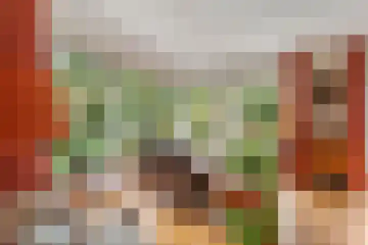 Brederode 12 Tiel thumbnail 14