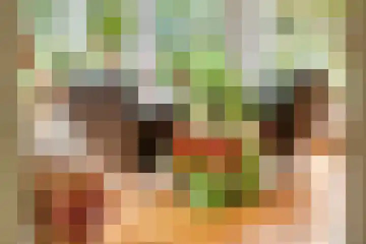 Brederode 12 Tiel thumbnail 15