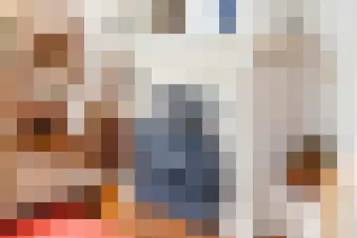 Brederode 12 Tiel thumbnail 16