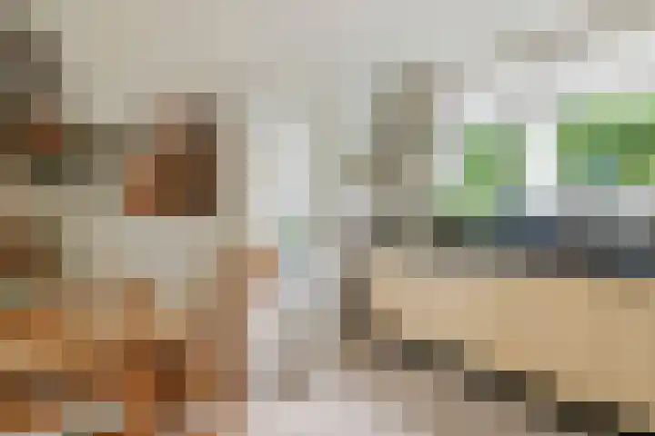 Brederode 12 Tiel thumbnail 18