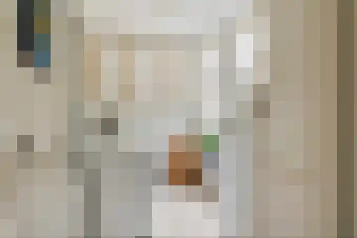Brederode 12 Tiel thumbnail 20