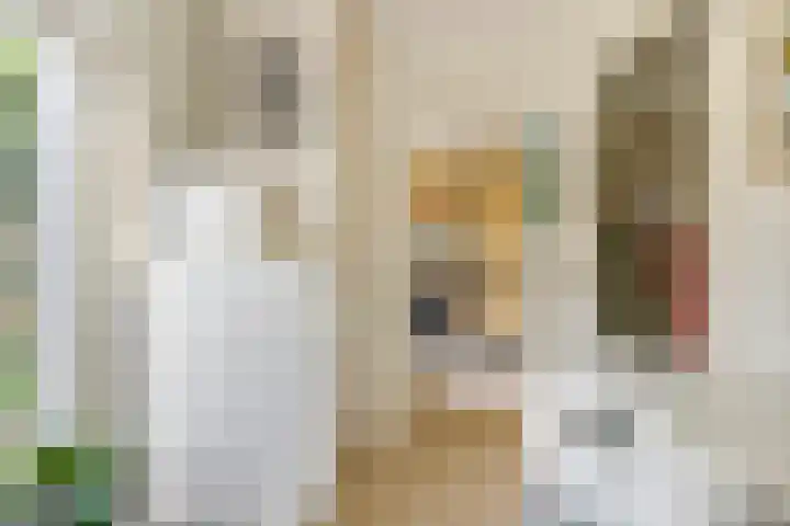 Brederode 12 Tiel thumbnail 21