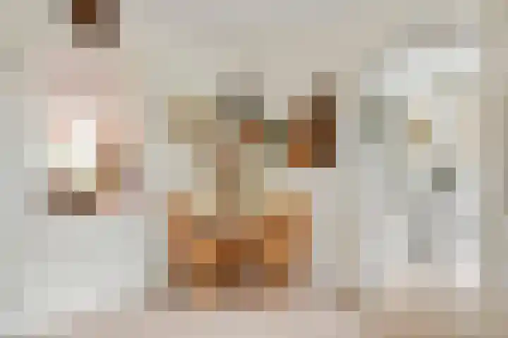 Brederode 12 Tiel thumbnail 22