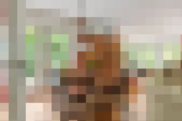 Brederode 12 Tiel thumbnail 23