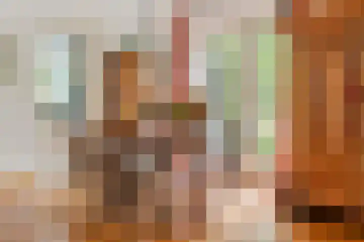 Brederode 12 Tiel thumbnail 24