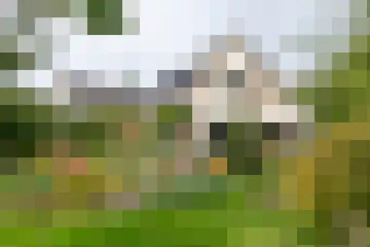 Brederode 12 Tiel thumbnail 26