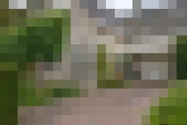 Brederode 12 Tiel thumbnail 27