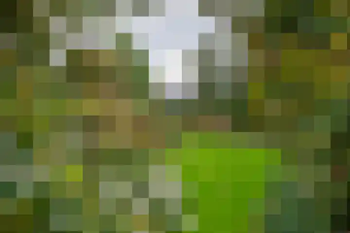 Brederode 12 Tiel thumbnail 28