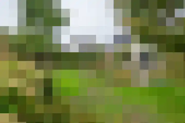 Brederode 12 Tiel thumbnail 29