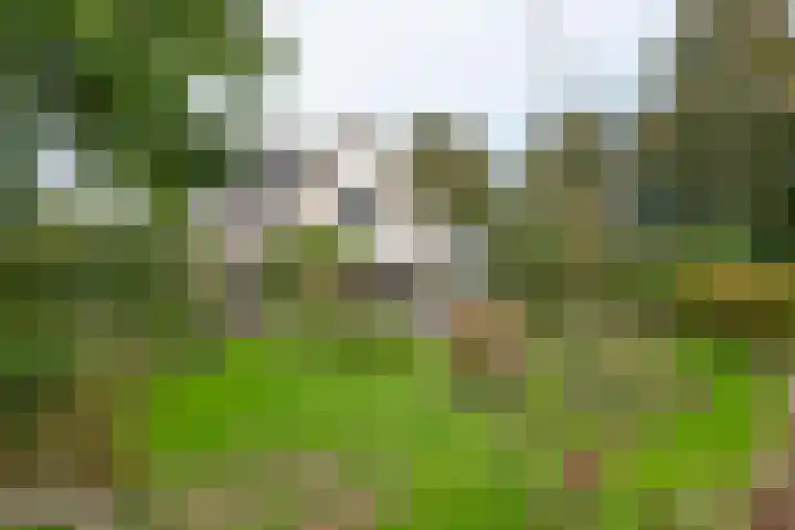 Brederode 12 Tiel foto 3