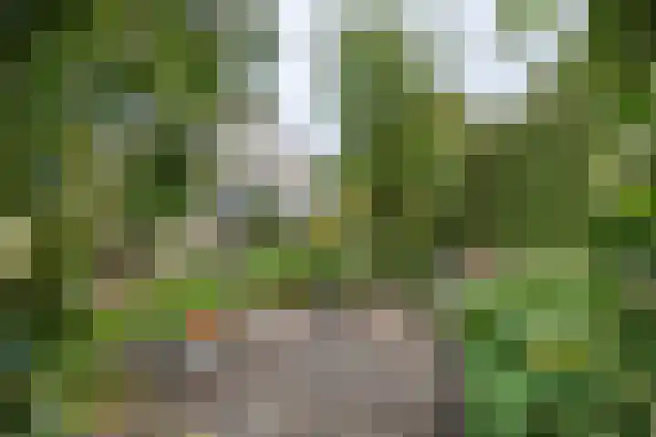 Brederode 12 Tiel thumbnail 30