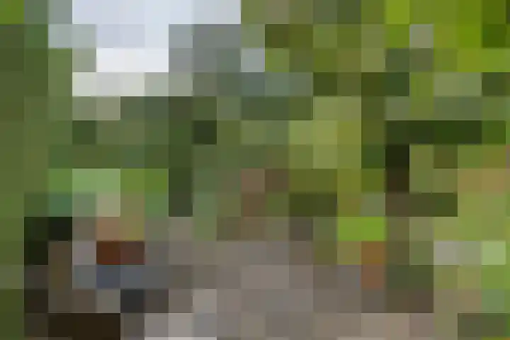 Brederode 12 Tiel thumbnail 31
