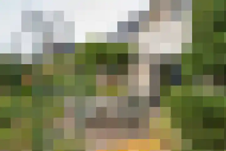 Brederode 12 Tiel thumbnail 32