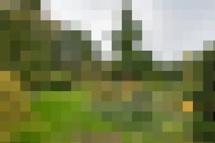 Brederode 12 Tiel thumbnail 33