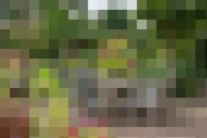 Brederode 12 Tiel thumbnail 35