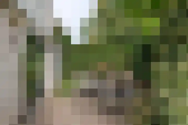 Brederode 12 Tiel thumbnail 37
