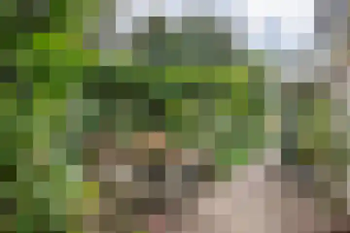 Brederode 12 Tiel thumbnail 38