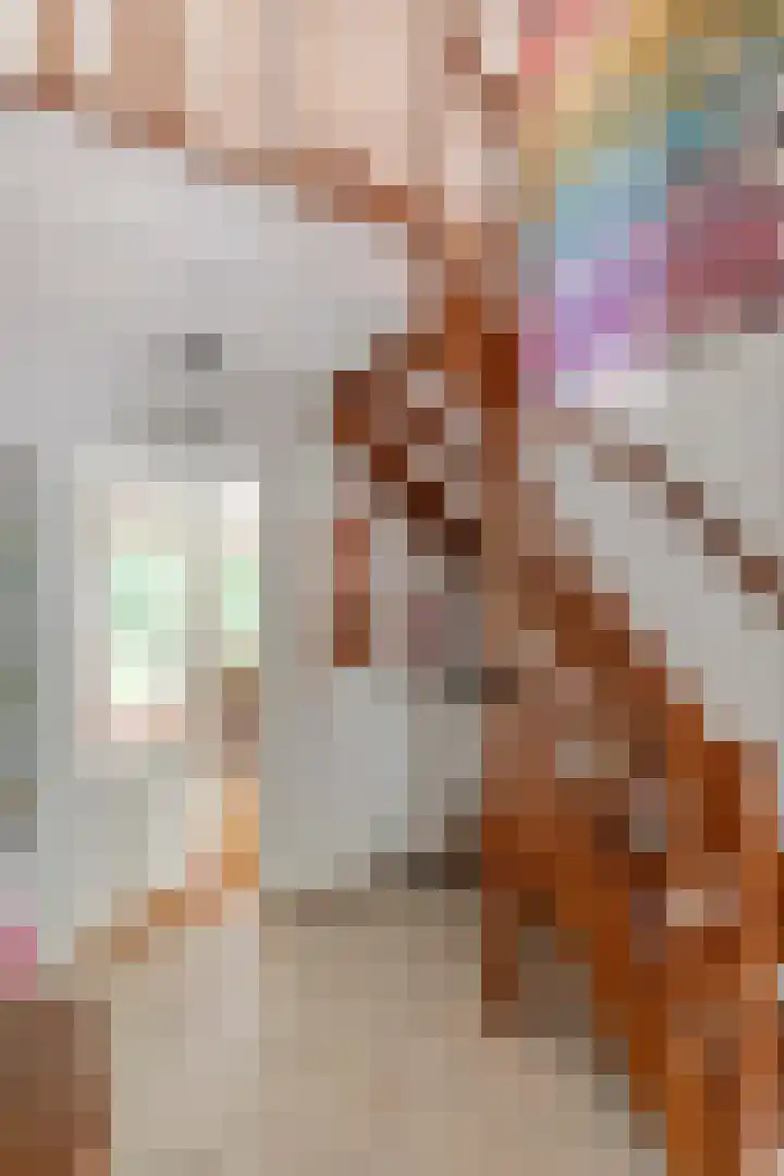 Brederode 12 Tiel thumbnail 41