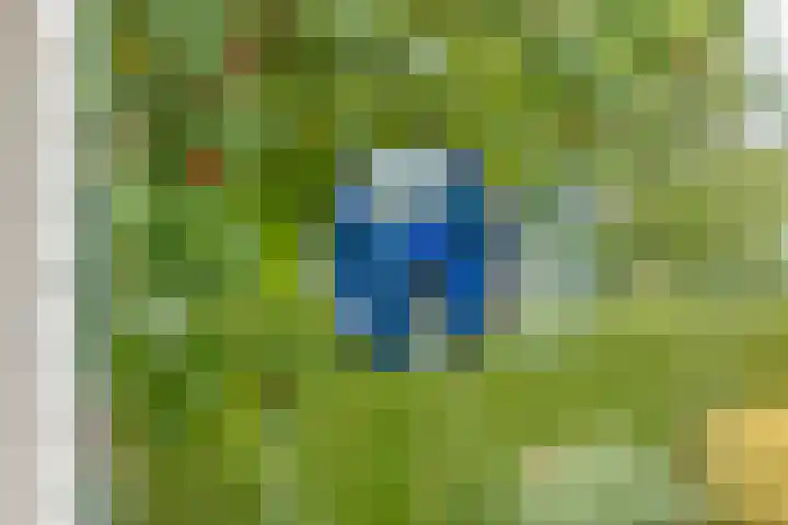 Brederode 12 Tiel thumbnail 43