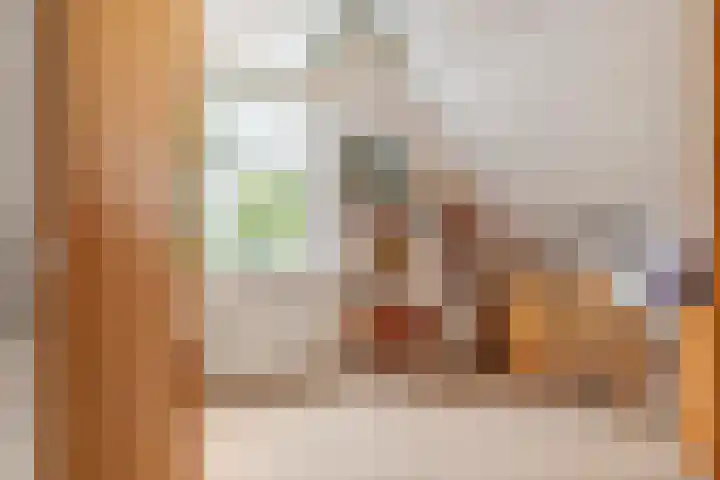 Brederode 12 Tiel thumbnail 49