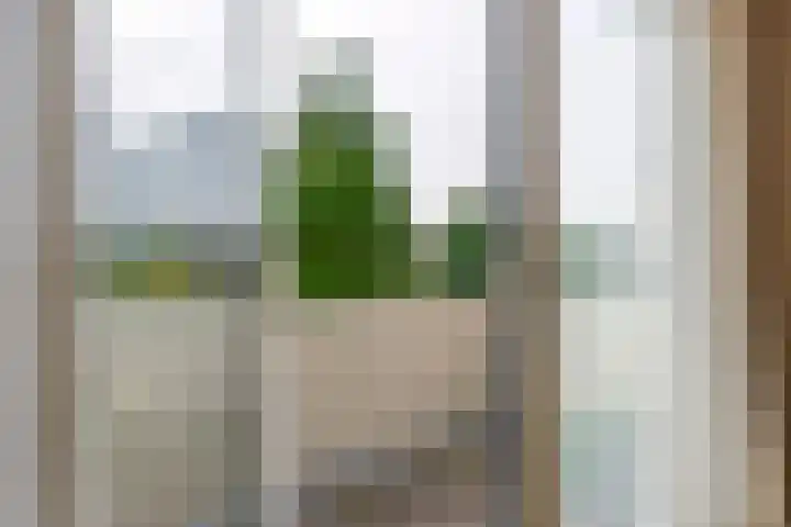 Brederode 12 Tiel thumbnail 52