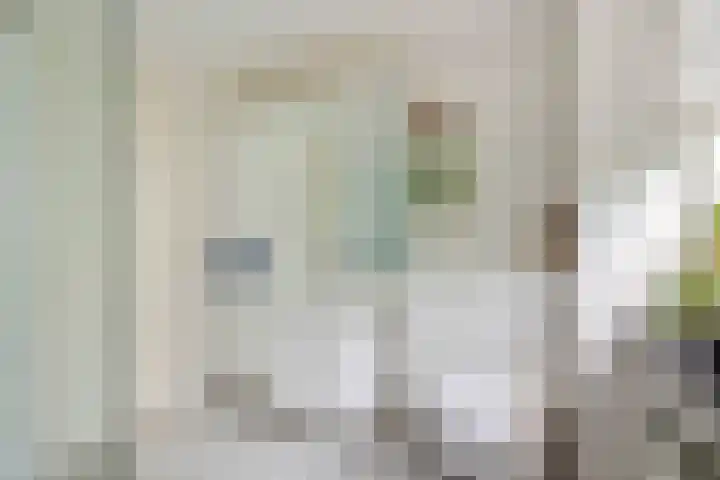 Brederode 12 Tiel thumbnail 59