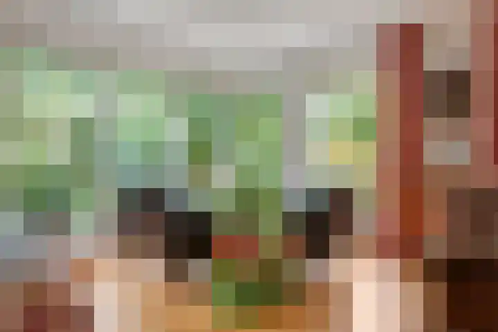 Brederode 12 Tiel thumbnail 6