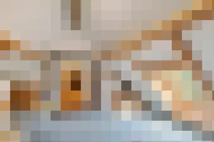 Brederode 12 Tiel thumbnail 62