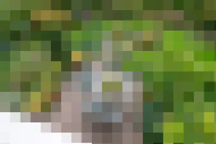 Brederode 12 Tiel thumbnail 65