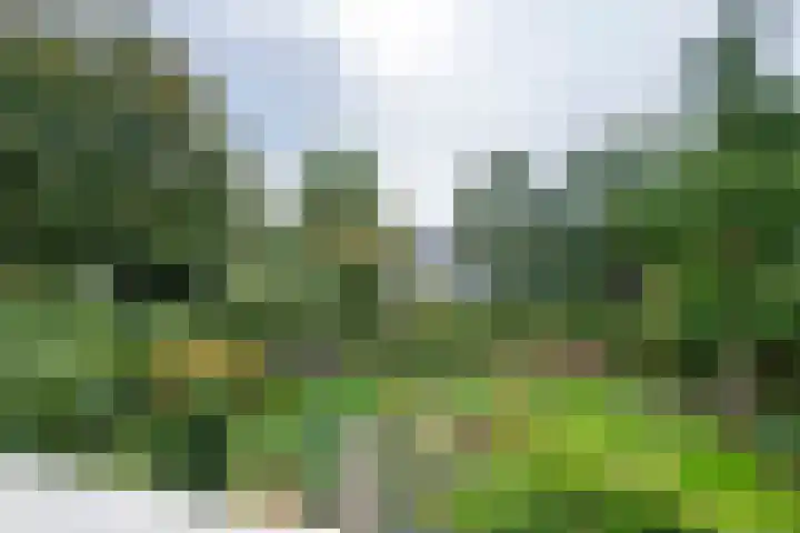 Brederode 12 Tiel thumbnail 66